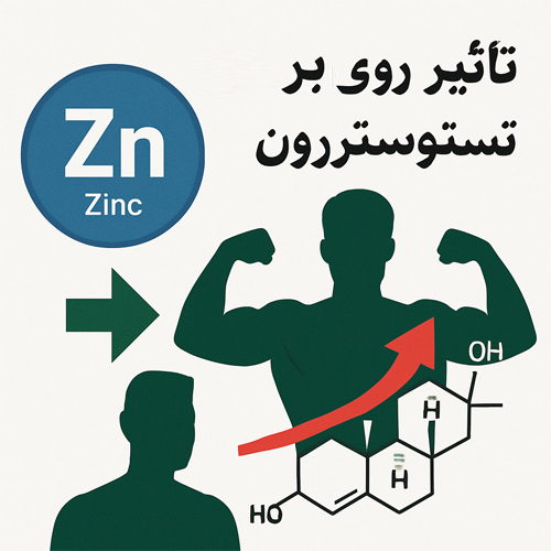 تأثیر روی بر تستوسترون